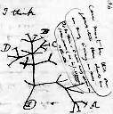 [Darwin's tree of life]