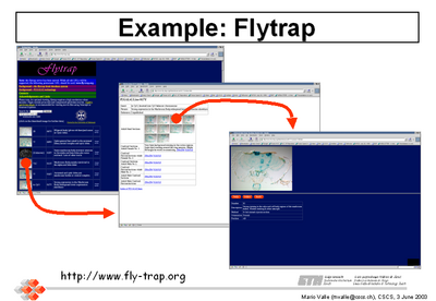 [Flytrap example]